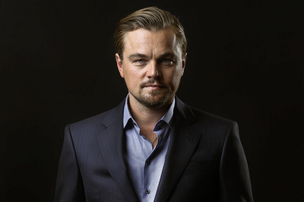 Leonardo DiCaprio portrait
